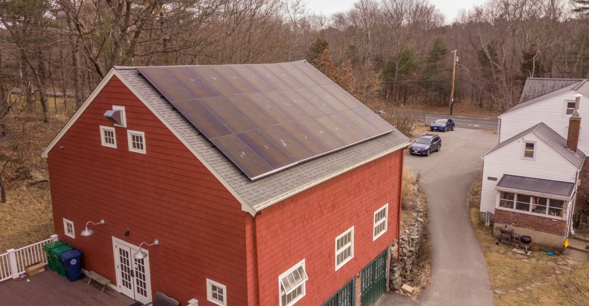 Newton Community Farm Close Shot